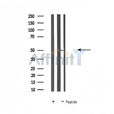 Валидация Affinity DF4633 - 16272
