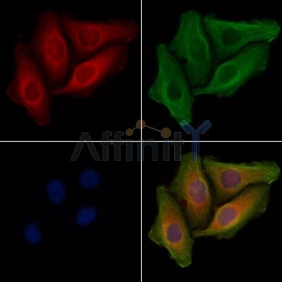 Валидация Affinity AF3471 - 1991