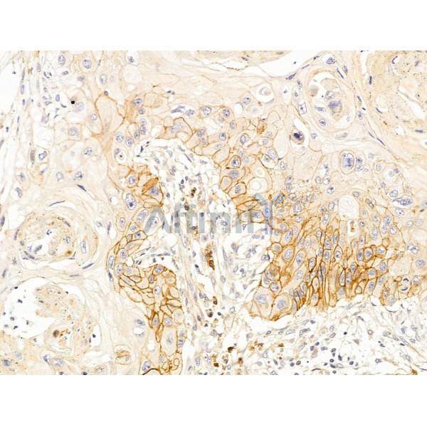 Валидация Affinity DF13643 - 9192