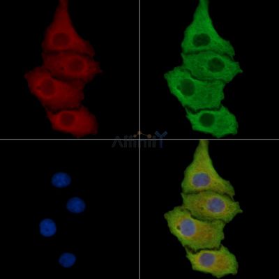 Валидация Affinity DF14696 - 10755