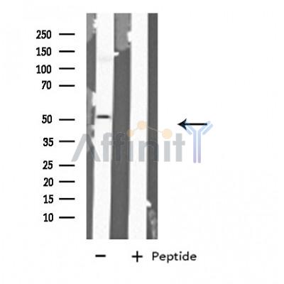 Валидация Affinity DF4070 - 15341