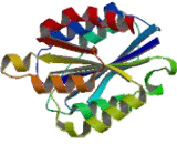 Integrin Alpha 2 (ITGa2) Integrin Alpha 2 (ITGa2)