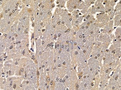 Валидация Affinity DF4092 - 15372