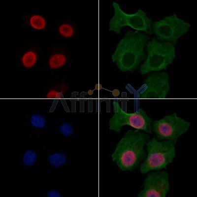 Валидация Affinity DF13627 - 9156