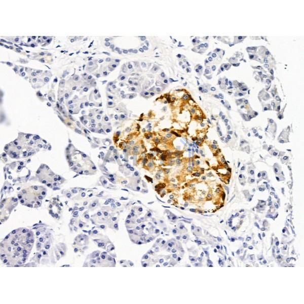 Валидация Affinity DF9542 - 22197