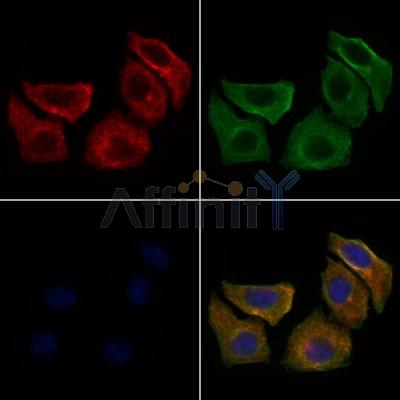 Валидация Affinity DF10213 - 5776