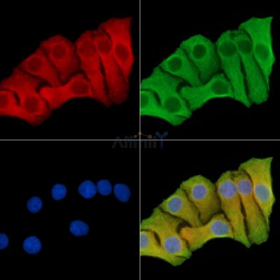 Валидация Affinity DF14645 - 10682