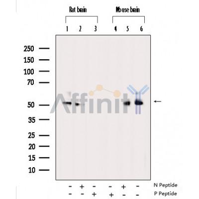 Валидация Affinity AF3492 - 2022
