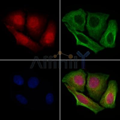 Валидация Affinity DF7311 - 18999