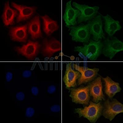 Валидация Affinity DF7836 - 19649