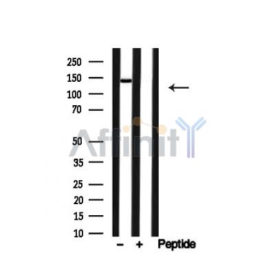 Валидация Affinity AF4773 - 2392