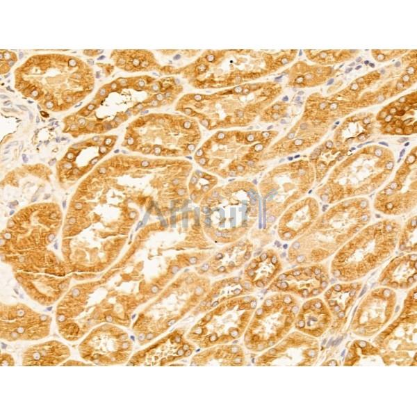 Валидация Affinity DF13647 - 9200