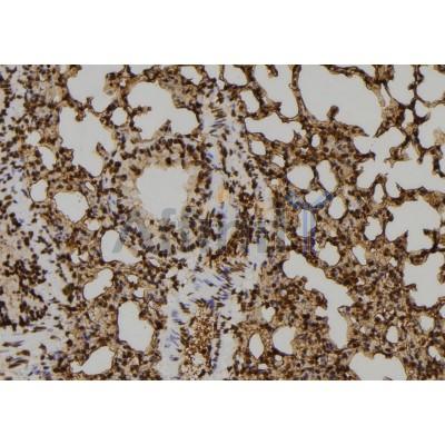 Валидация Affinity DF6232 - 17514