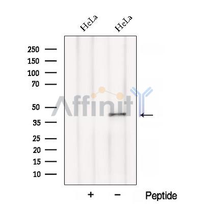 Валидация Affinity DF12850 - 7578