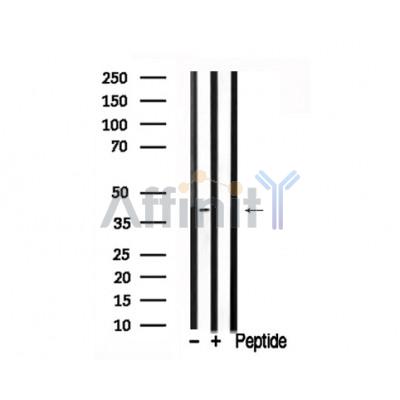 Валидация Affinity AF7735 - 4434
