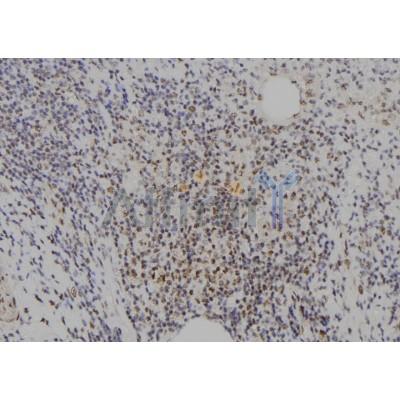 Валидация Affinity DF2591 - 13275