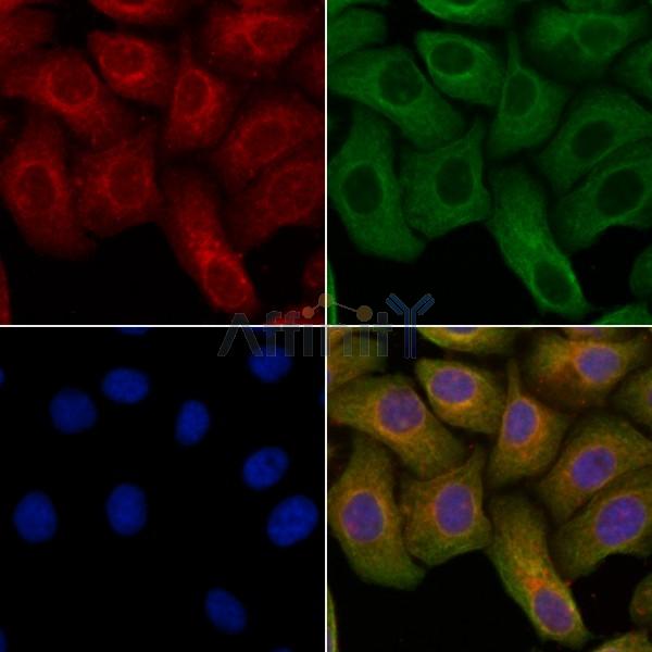 Валидация Affinity DF10159 - 5691