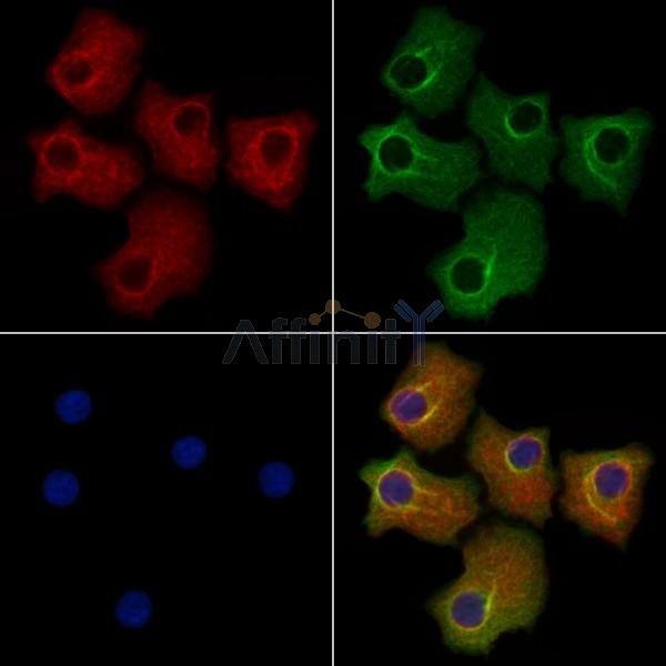 Валидация Affinity DF3128 - 13910