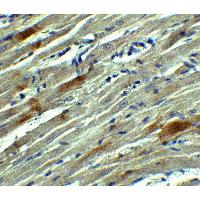 Валидация AssayVector ARM1159(443)