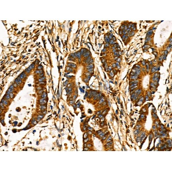 Валидация Affinity DF3112 - 13880