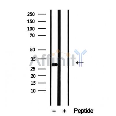 Валидация Affinity DF12268 - 6600