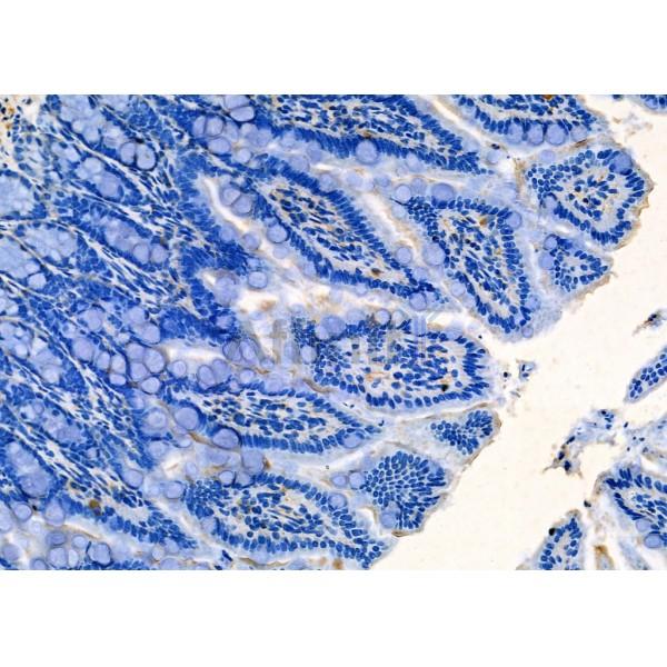 Валидация Affinity DF7672 - 19443