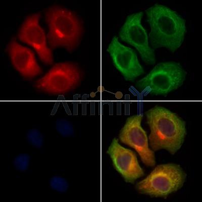 Валидация Affinity DF12837 - 7561