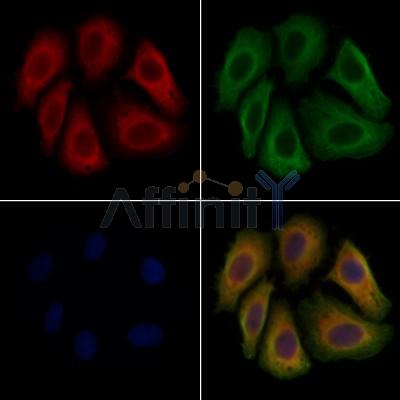 Валидация Affinity AF7672 - 4355