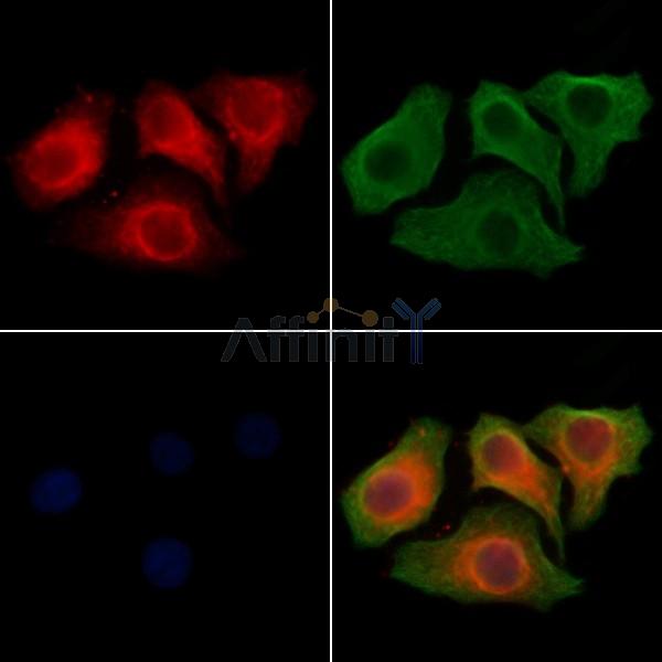 Валидация Affinity DF8596 - 20511