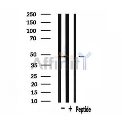 Валидация Affinity DF3091 - 13843