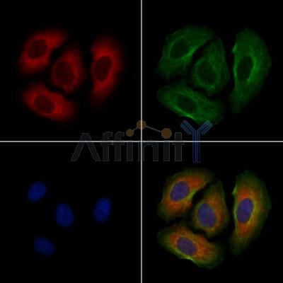 Валидация Affinity DF2762 - 13499