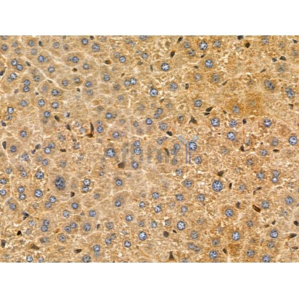 Валидация Affinity DF4913 - 16720