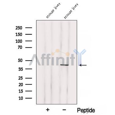 Валидация Affinity DF12807 - 7506