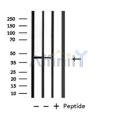Валидация Affinity DF7607 - 19378