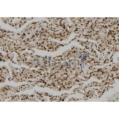 Валидация Affinity AF9078 - 4845