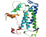 G Protein Coupled Receptor, Family C, Group 5, Member D (GPRC5D) G Protein Coupled Receptor, Family C, Group 5, Member D (GPRC5D)