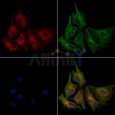 Валидация Affinity AF6069 - 3273