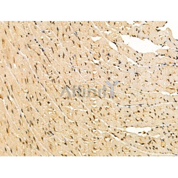 Валидация Affinity DF3282 - 14144