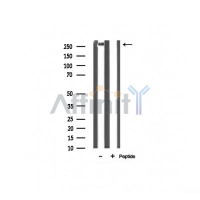 Валидация Affinity AF6222 - 3460