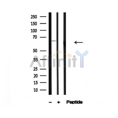 Валидация Affinity AF4676 - 2292