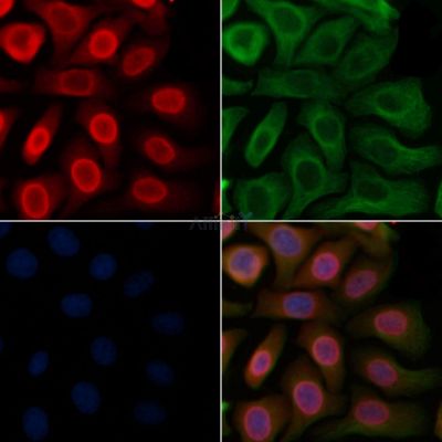 Валидация Affinity DF6932 - 18541