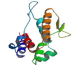 Interferon Epsilon (IFNe) Interferon Epsilon (IFNe)