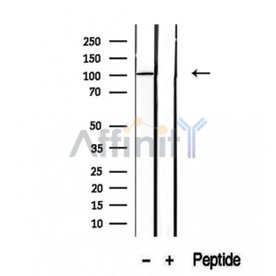 Валидация Affinity DF12317 - 6708