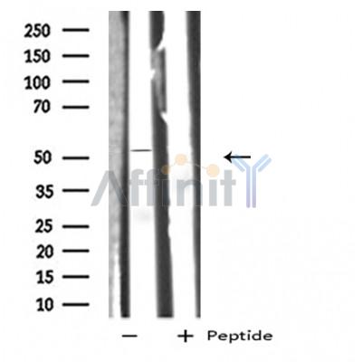 Валидация Affinity DF5176 - 17152