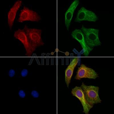 Валидация Affinity DF13657 - 9219