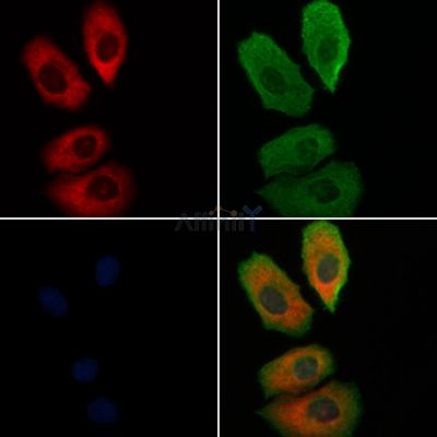 Валидация Affinity DF8323 - 20177