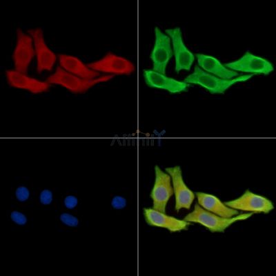 Валидация Affinity DF9200 - 21588