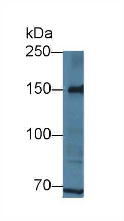 12793
