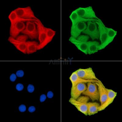 Валидация Affinity DF15015 - 11224