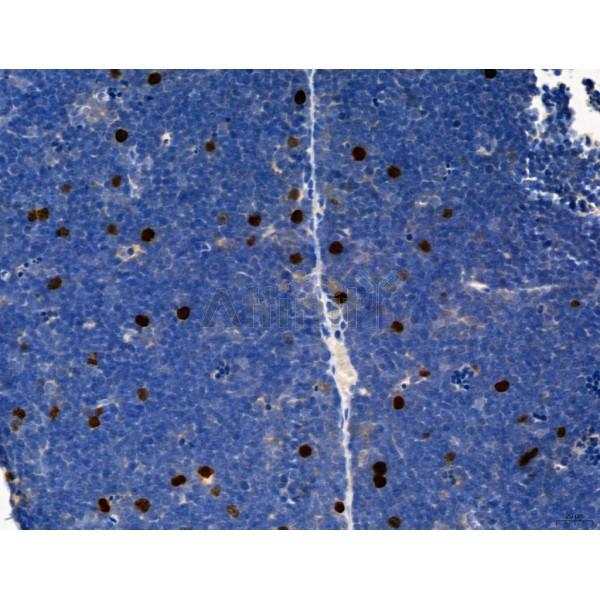 Валидация Affinity DF7955 - 19786